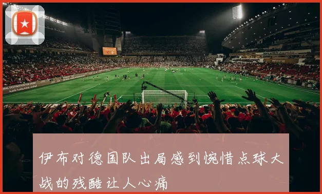 伊布对德国队出局感到惋惜点球大战的残酷让人心痛