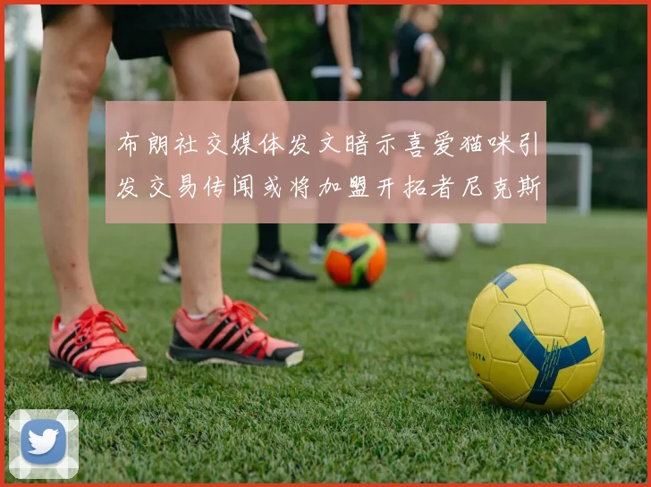 布朗社交媒体发文暗示喜爱猫咪引发交易传闻或将加盟开拓者尼克斯雷霆湖人